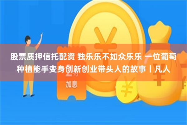 股票质押信托配资 独乐乐不如众乐乐 一位葡萄种植能手变身创新创业带头人的故事丨凡人
