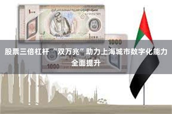 股票三倍杠杆 “双万兆”助力上海城市数字化能力全面提升