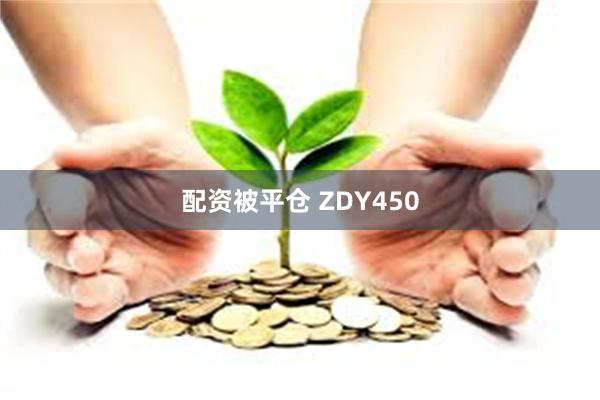 配资被平仓 ZDY450