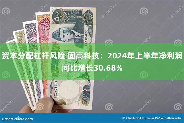 资本分配杠杆风险 固高科技：2024年上半年净利润同比增长30.68%