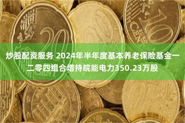 炒股配资服务 2024年半年度基本养老保险基金一二零四组合增持皖能电力350.23万股