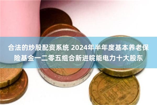 合法的炒股配资系统 2024年半年度基本养老保险基金一二零五组合新进皖能电力十大股东