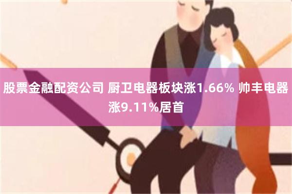 股票金融配资公司 厨卫电器板块涨1.66% 帅丰电器涨9.11%居首