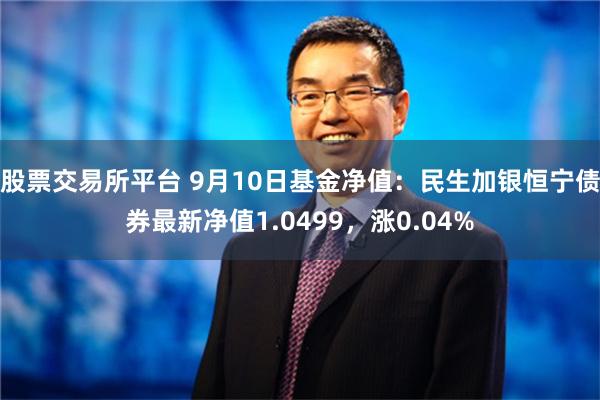 股票交易所平台 9月10日基金净值：民生加银恒宁债券最新净值1.0499，涨0.04%