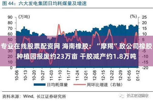 专业在线股票配资网 海南橡胶：“摩羯”致公司橡胶种植园报废约23万亩 干胶减产约1.8万吨