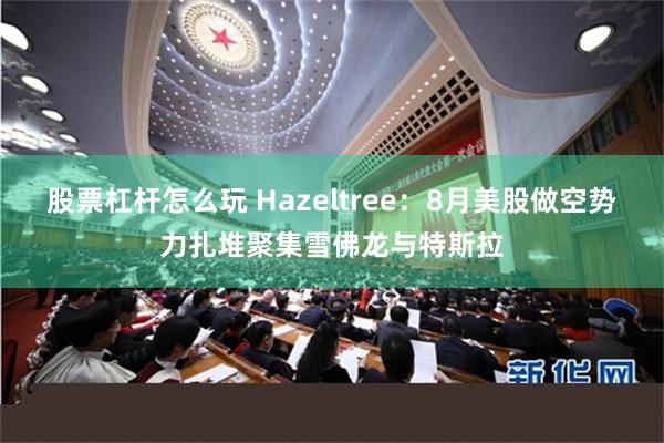 股票杠杆怎么玩 Hazeltree：8月美股做空势力扎堆聚集雪佛龙与特斯拉
