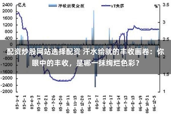 配资炒股网站选择配资 汗水绘就的丰收画卷：你眼中的丰收，是哪一抹绚烂色彩？