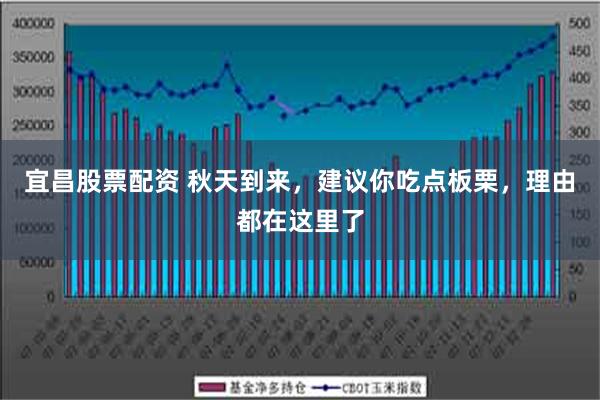 宜昌股票配资 秋天到来，建议你吃点板栗，理由都在这里了