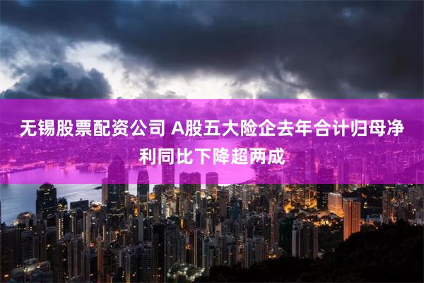 无锡股票配资公司 A股五大险企去年合计归母净利同比下降超两成