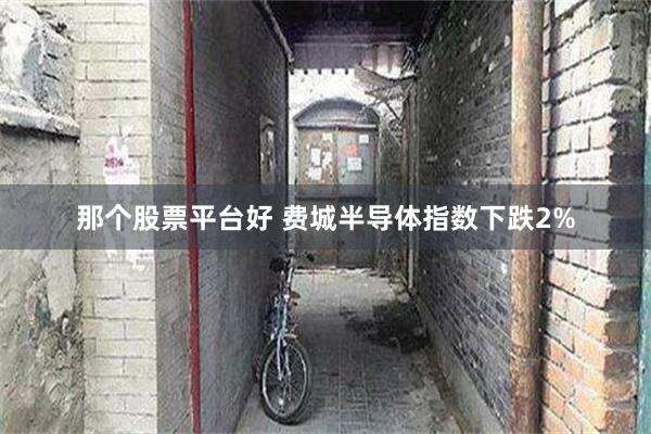 那个股票平台好 费城半导体指数下跌2%