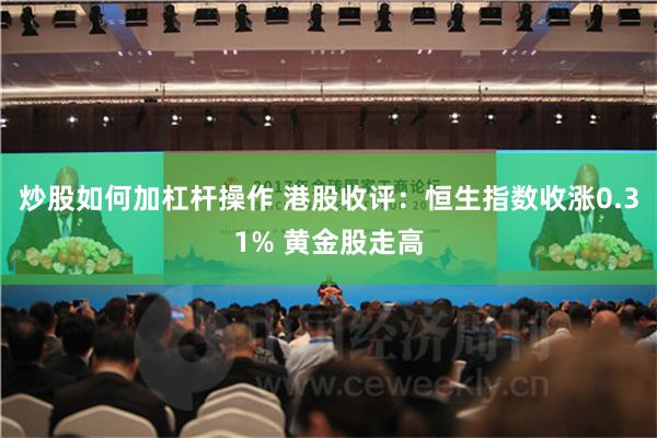 炒股如何加杠杆操作 港股收评：恒生指数收涨0.31% 黄金股走高