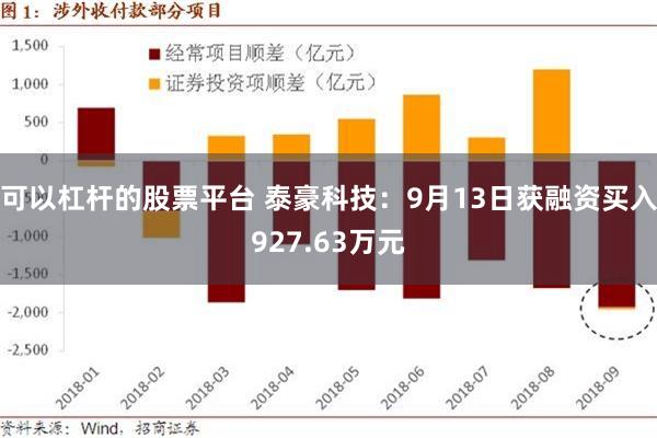 可以杠杆的股票平台 泰豪科技：9月13日获融资买入927.63万元