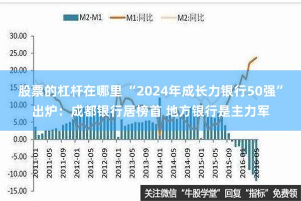 股票的杠杆在哪里 “2024年成长力银行50强”出炉：成都银行居榜首 地方银行是主力军