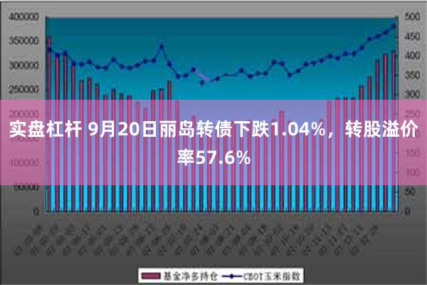 实盘杠杆 9月20日丽岛转债下跌1.04%，转股溢价率57.6%