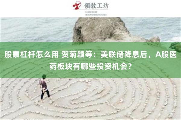 股票杠杆怎么用 贺菊颖等：美联储降息后，A股医药板块有哪些投资机会？