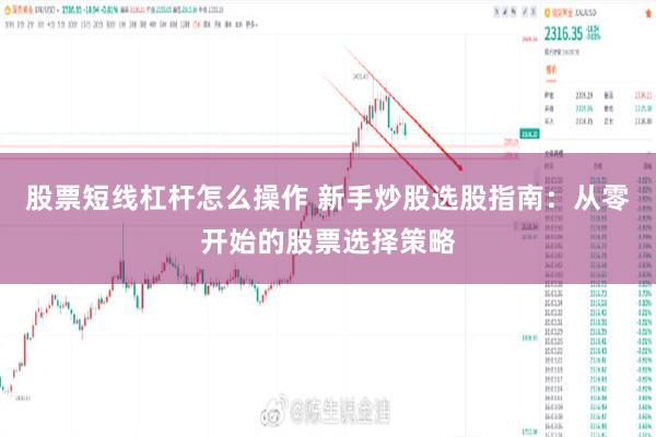 股票短线杠杆怎么操作 新手炒股选股指南：从零开始的股票选择策略