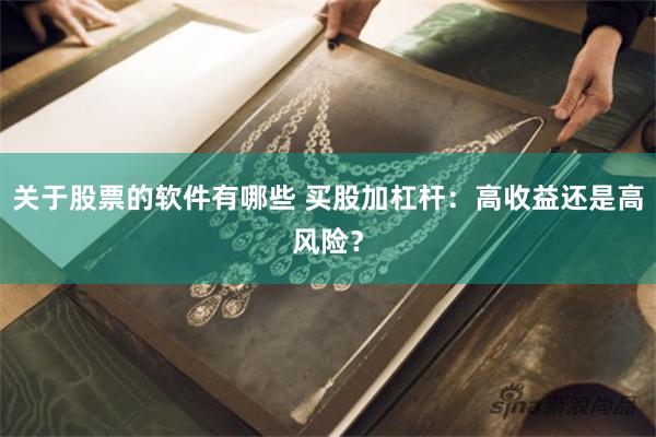 关于股票的软件有哪些 买股加杠杆：高收益还是高风险？