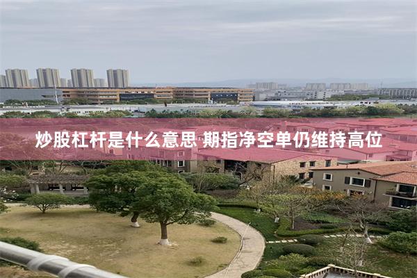 炒股杠杆是什么意思 期指净空单仍维持高位
