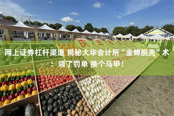 网上证劵杠杆渠道 揭秘大华会计所“金蝉脱壳”术：领了罚单 换个马甲！