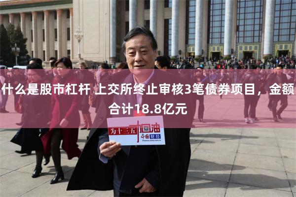 什么是股市杠杆 上交所终止审核3笔债券项目，金额合计18.8亿元