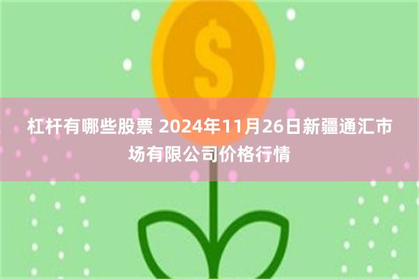 杠杆有哪些股票 2024年11月26日新疆通汇市场有限公司价格行情