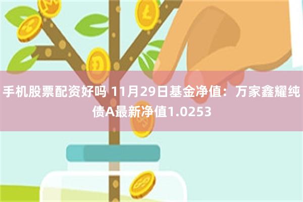手机股票配资好吗 11月29日基金净值：万家鑫耀纯债A最新净值1.0253