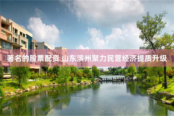 著名的股票配资 山东滨州聚力民营经济提质升级