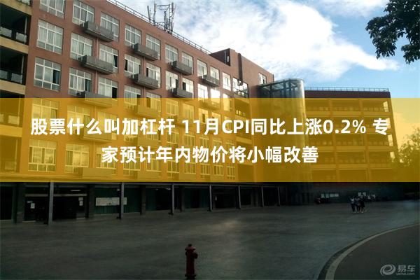 股票什么叫加杠杆 11月CPI同比上涨0.2% 专家预计年内物价将小幅改善