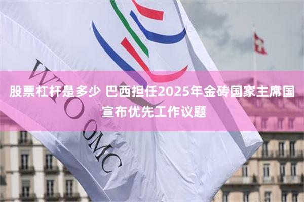 股票杠杆是多少 巴西担任2025年金砖国家主席国 宣布优先工作议题