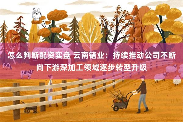 怎么判断配资实盘 云南锗业：持续推动公司不断向下游深加工领域逐步转型升级