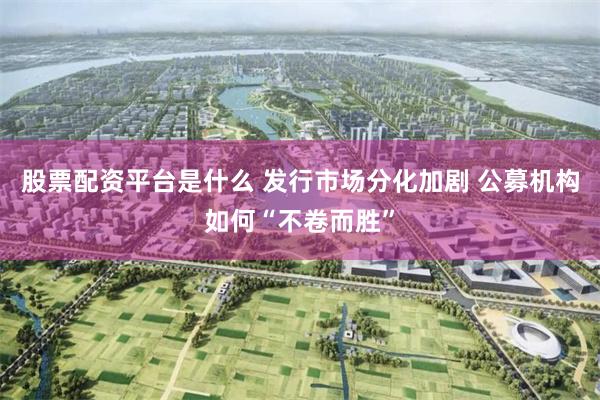股票配资平台是什么 发行市场分化加剧 公募机构如何“不卷而胜”