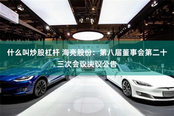 什么叫炒股杠杆 海亮股份：第八届董事会第二十三次会议决议公告