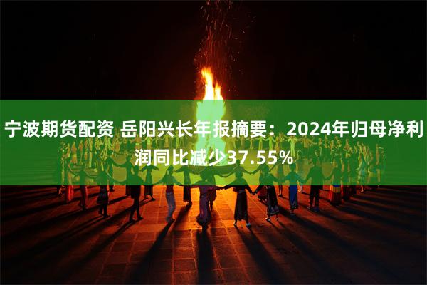 宁波期货配资 岳阳兴长年报摘要：2024年归母净利润同比减少37.55%