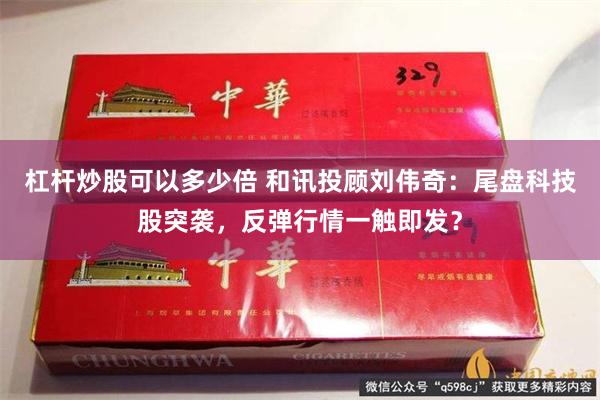 杠杆炒股可以多少倍 和讯投顾刘伟奇：尾盘科技股突袭，反弹行情一触即发？