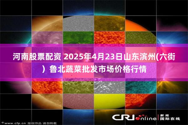 河南股票配资 2025年4月23日山东滨州(六街)鲁北蔬菜批发市场价格行情