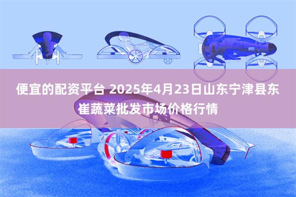 便宜的配资平台 2025年4月23日山东宁津县东崔蔬菜批发市场价格行情