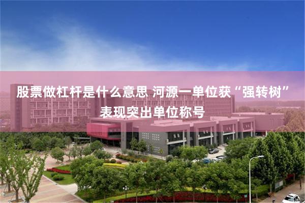 股票做杠杆是什么意思 河源一单位获“强转树”表现突出单位称号