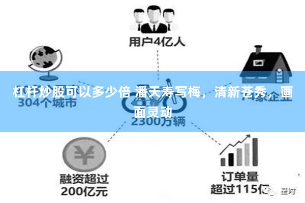 杠杆炒股可以多少倍 潘天寿写梅，清新苍秀，画面灵动