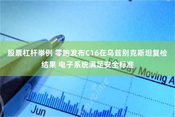 股票杠杆举例 零跑发布C16在乌兹别克斯坦复检结果 电子系统满足安全标准