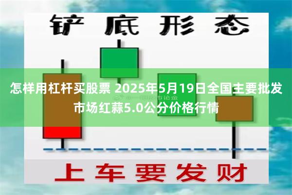 怎样用杠杆买股票 2025年5月19日全国主要批发市场红蒜5.0公分价格行情