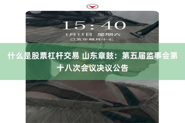 什么是股票杠杆交易 山东章鼓：第五届监事会第十八次会议决议公告
