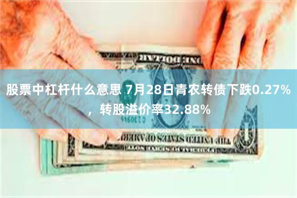 股票中杠杆什么意思 7月28日青农转债下跌0.27%，转股溢价率32.88%