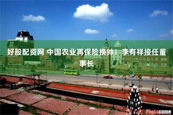 好股配资网 中国农业再保险换帅！李有祥接任董事长