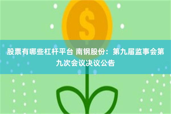 股票有哪些杠杆平台 南钢股份：第九届监事会第九次会议决议公告