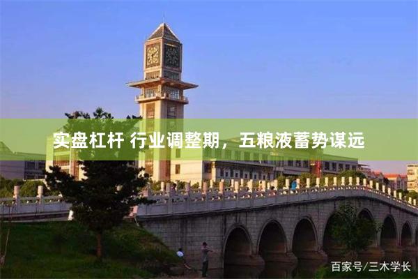 实盘杠杆 行业调整期,五粮液蓄势谋远