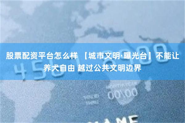 股票配资平台怎么样 【城市文明·曝光台】不能让养犬自由 越过公共文明边界